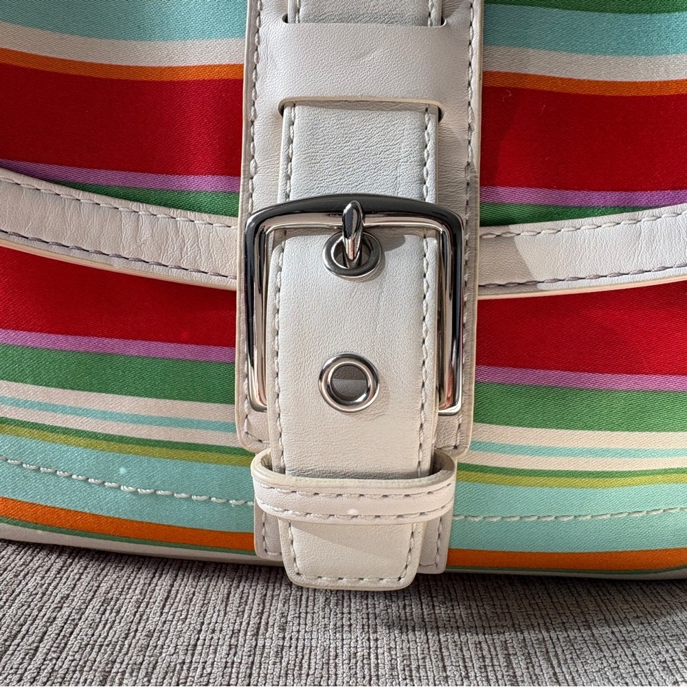 Multi Color Coach Bag with Adjustable Strap - Picture 2 of 15